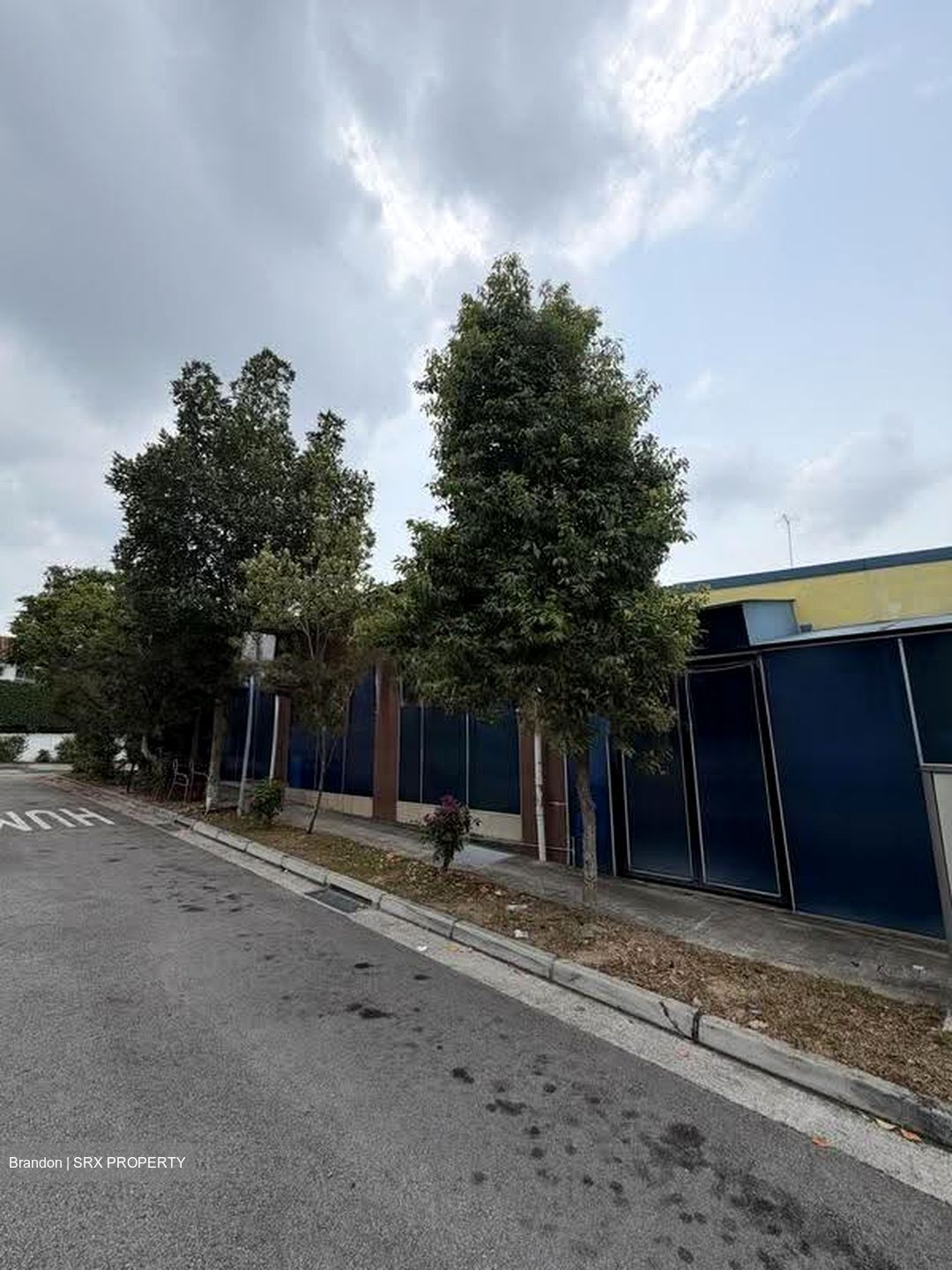 Toh Estate (D17), Terrace #617595551